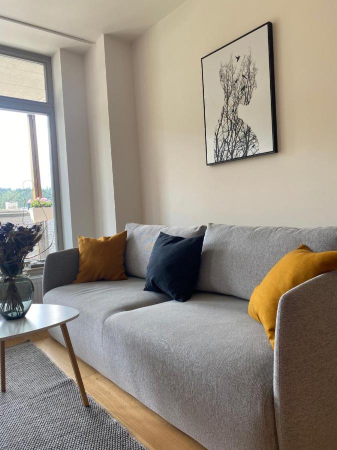 Luxusni Apartman U Sjezdovek S Garazi Harrachov Εξωτερικό φωτογραφία